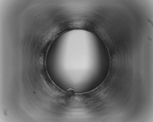 X0000100840739200806201150