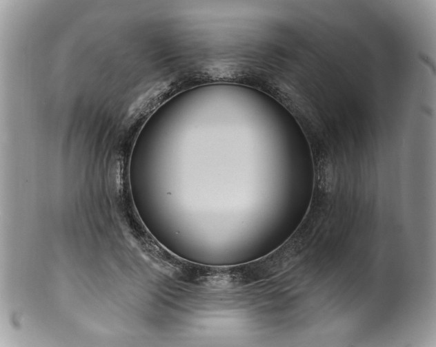 X0000100840740200806201150