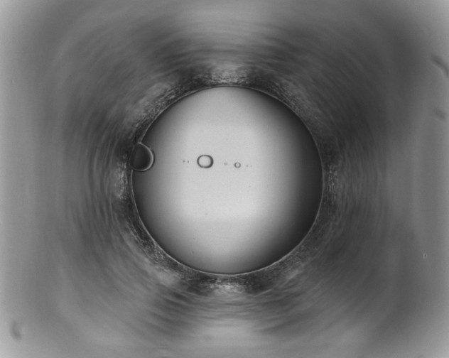 X0000100840741200806201150