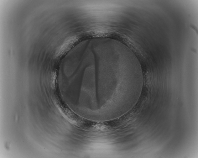 X0000100840742200806201150