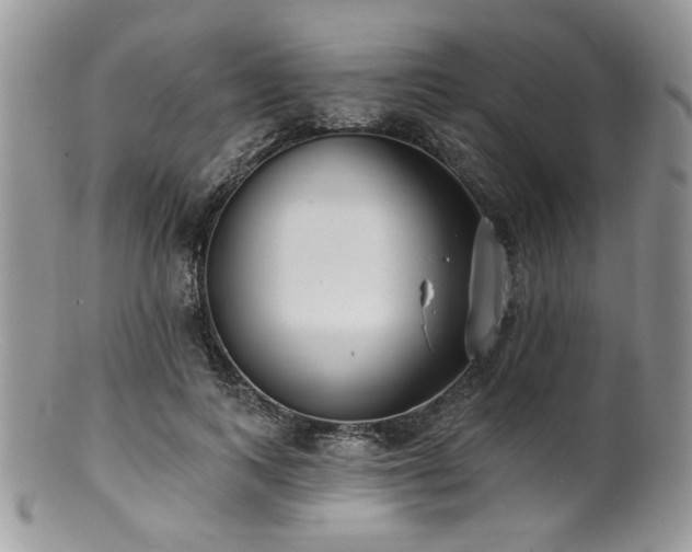 X0000100840743200806201150