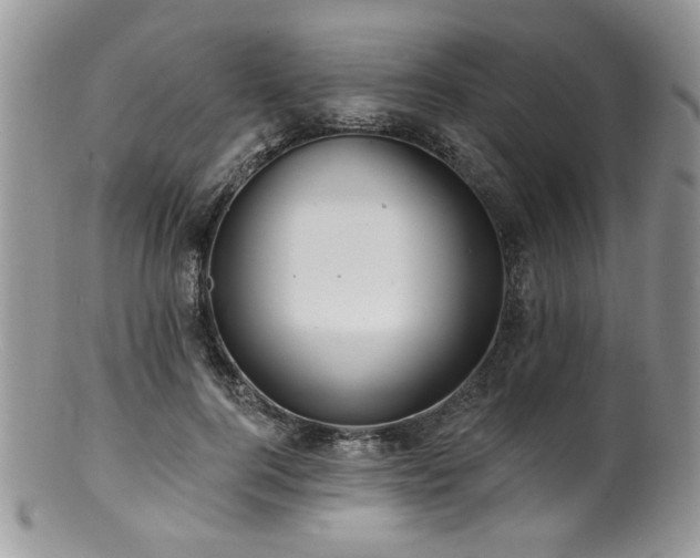 X0000100840744200806201150