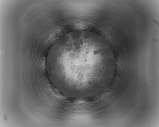 X0000100840745200806201150