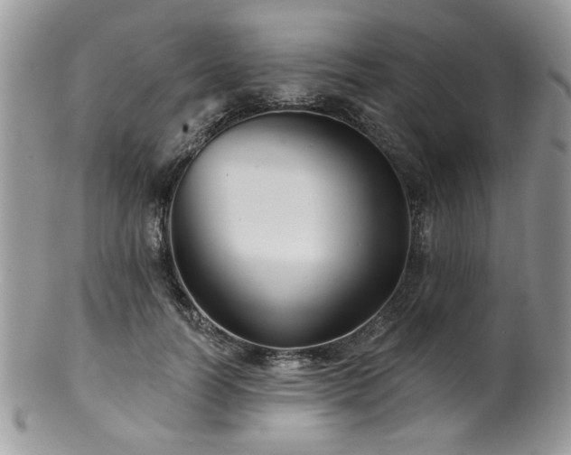 X0000100840746200806201150