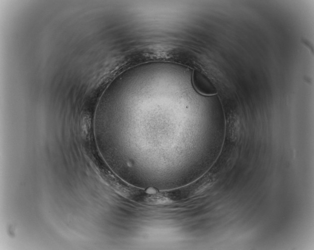 X0000100840747200806201150