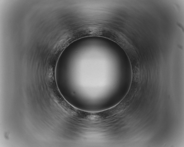 X0000100840748200806201150