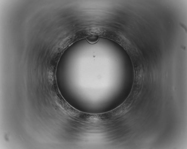 X0000100840749200806201150