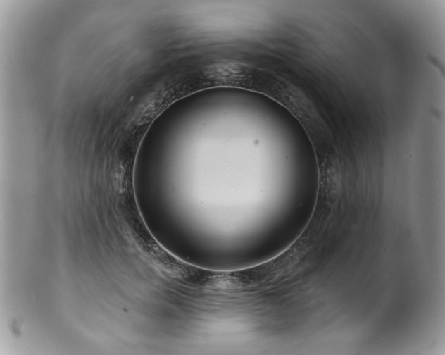 X0000100840750200806201150