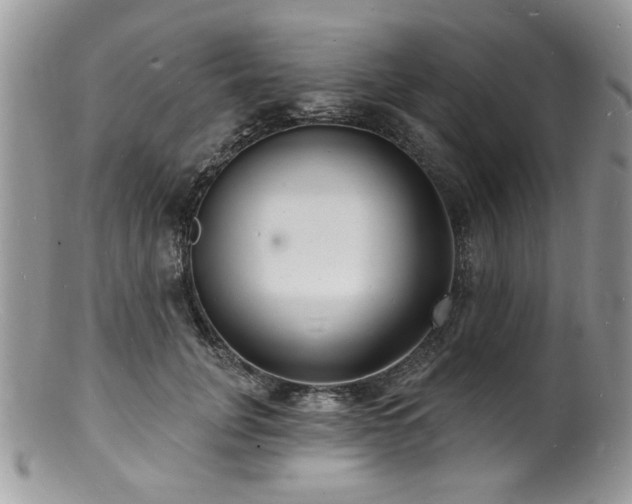 X0000100840751200806201150