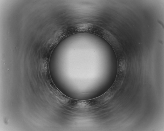 X0000100840753200806201150