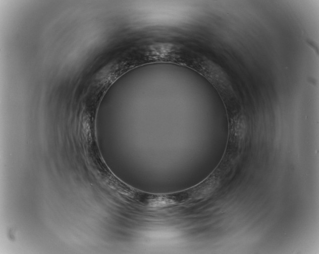 X0000100840754200806201150