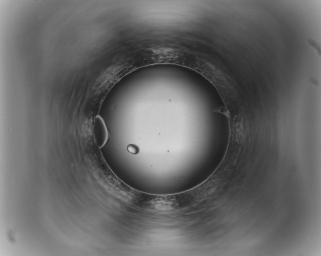 X0000100840756200806201150