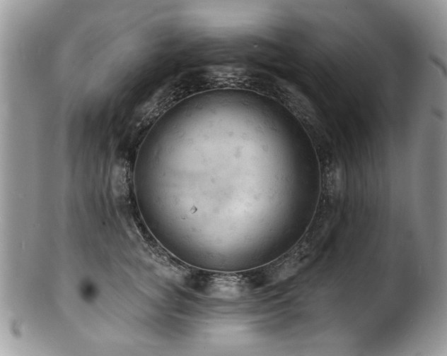 X0000100840757200806201150