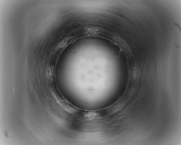 X0000100840759200806201151