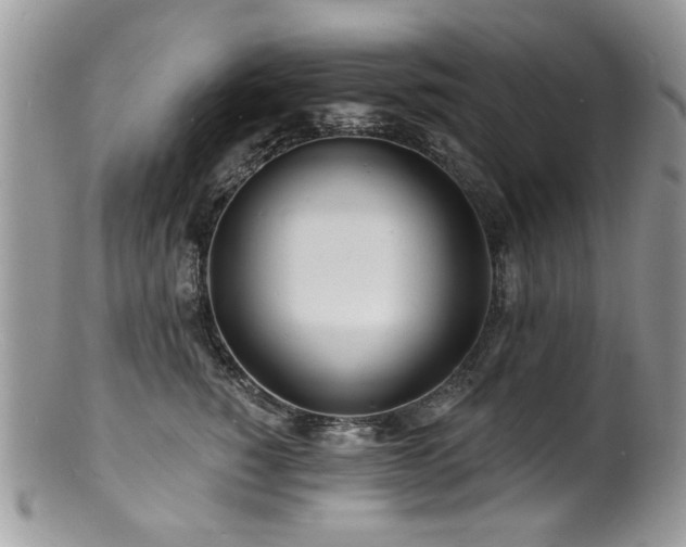 X0000100840760200806201151