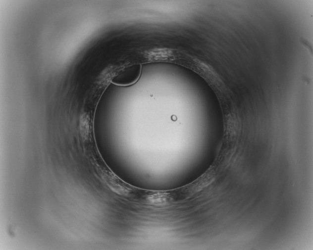 X0000100840761200806201151