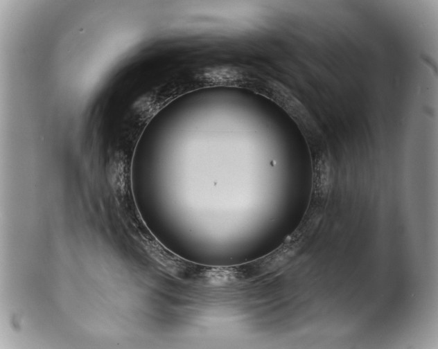 X0000100840762200806201151