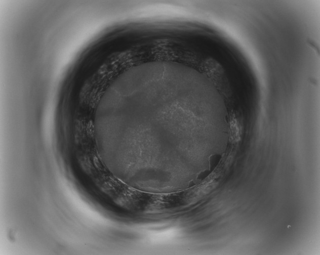 X0000100840765200806201151