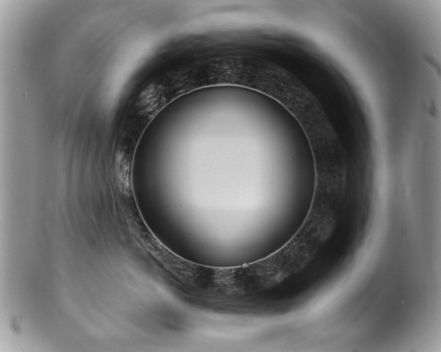 X0000100840766200806201151