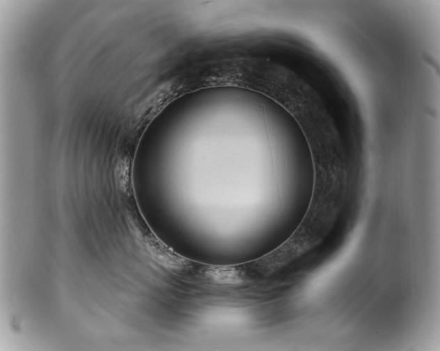 X0000100840767200806201151