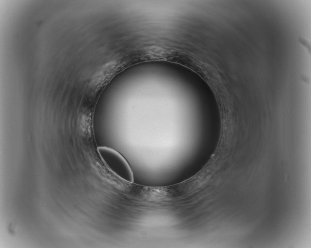 X0000100840768200806201151