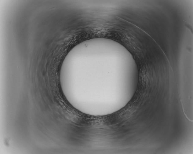 X0000100840769200806201150