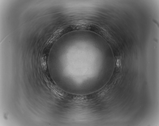 X0000100840771200806201150