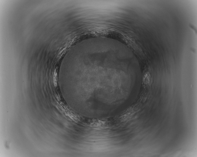 X0000100840772200806201150