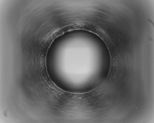 X0000100840773200806201150