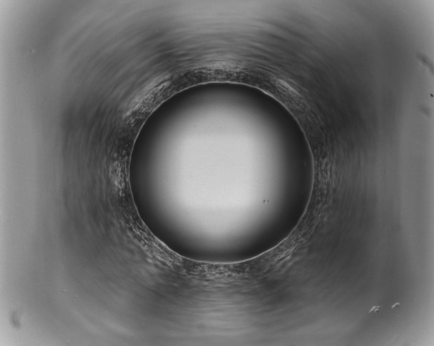 X0000100840774200806201150