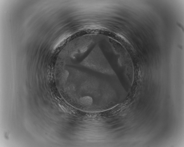 X0000100840775200806201150