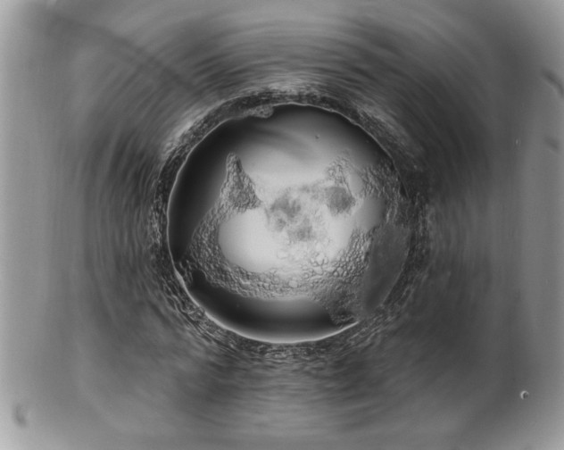 X0000100840776200806201150