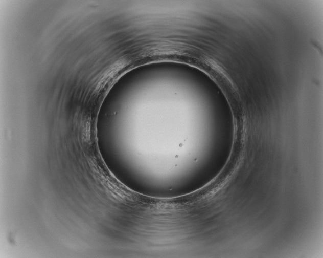 X0000100840777200806201150