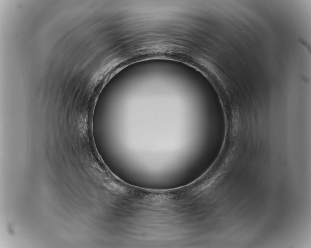 X0000100840778200806201150