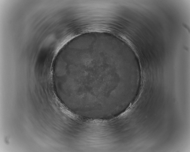 X0000100840779200806201150