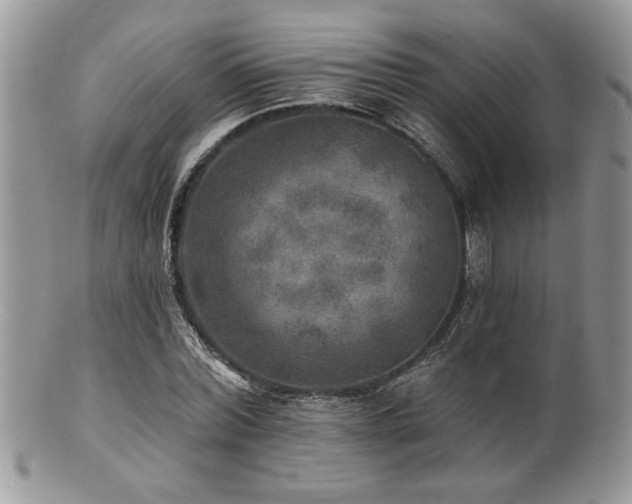 X0000100840780200806201150