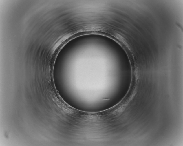 X0000100840781200806201150