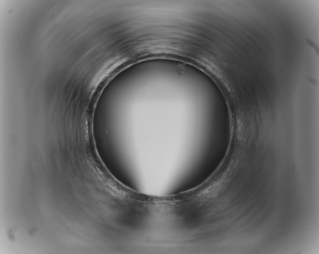 X0000100840782200806201150