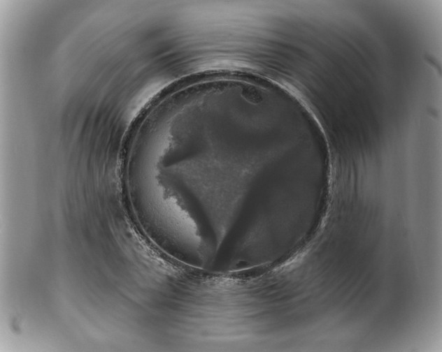 X0000100840783200806201150