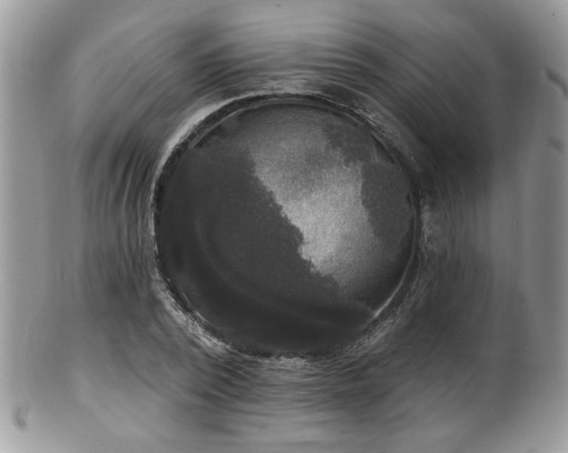 X0000100840784200806201150