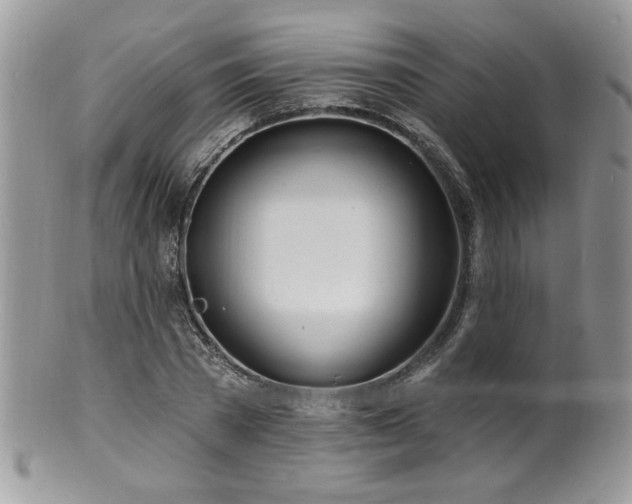 X0000100840785200806201150