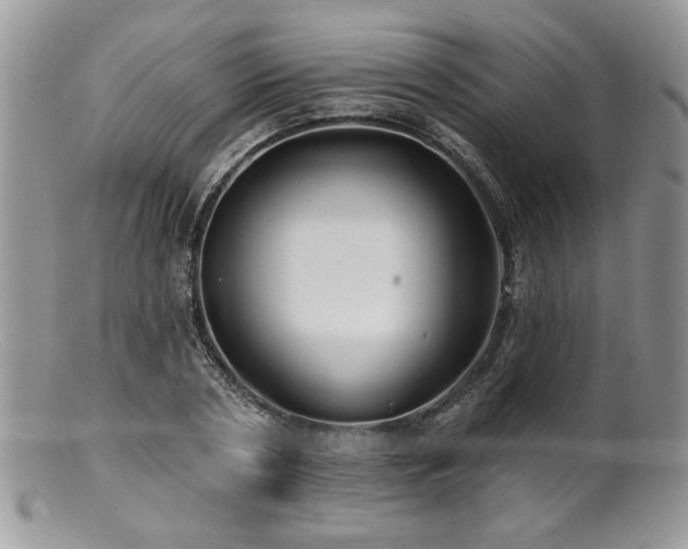 X0000100840786200806201150