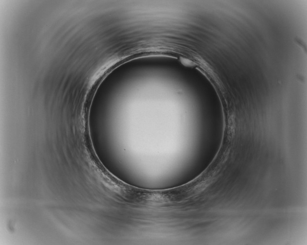 X0000100840787200806201150