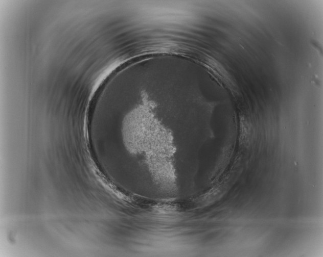 X0000100840788200806201150