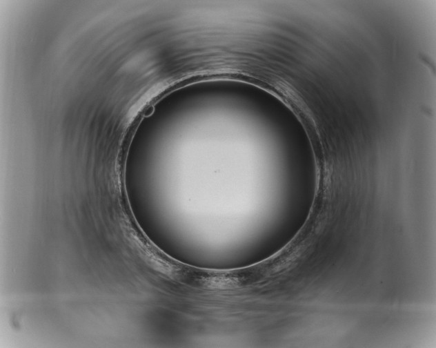 X0000100840789200806201149