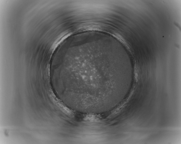 X0000100840790200806201149