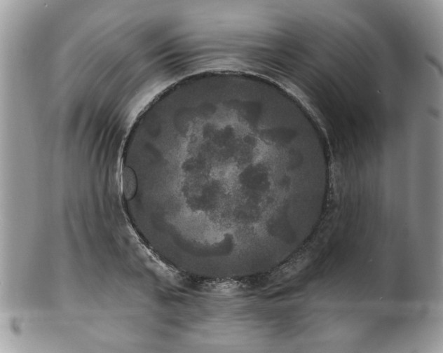 X0000100840791200806201149