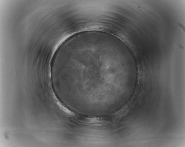 X0000100840792200806201149