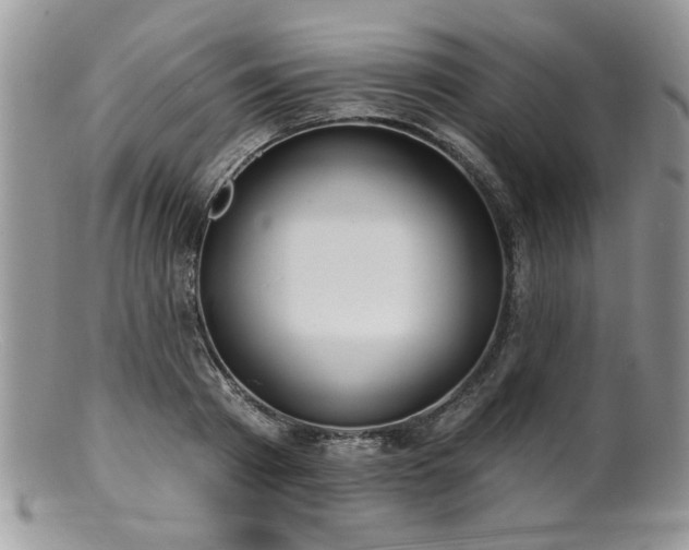 X0000100840793200806201149