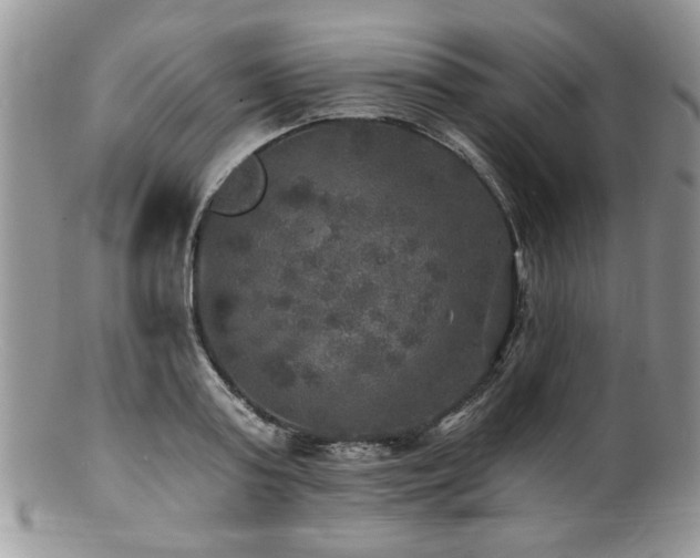 X0000100840795200806201149